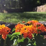 Jades Sardinia Βίλα *