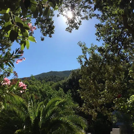 Jades Sardinia فيلة