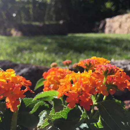 Jades Sardinia فيلة *